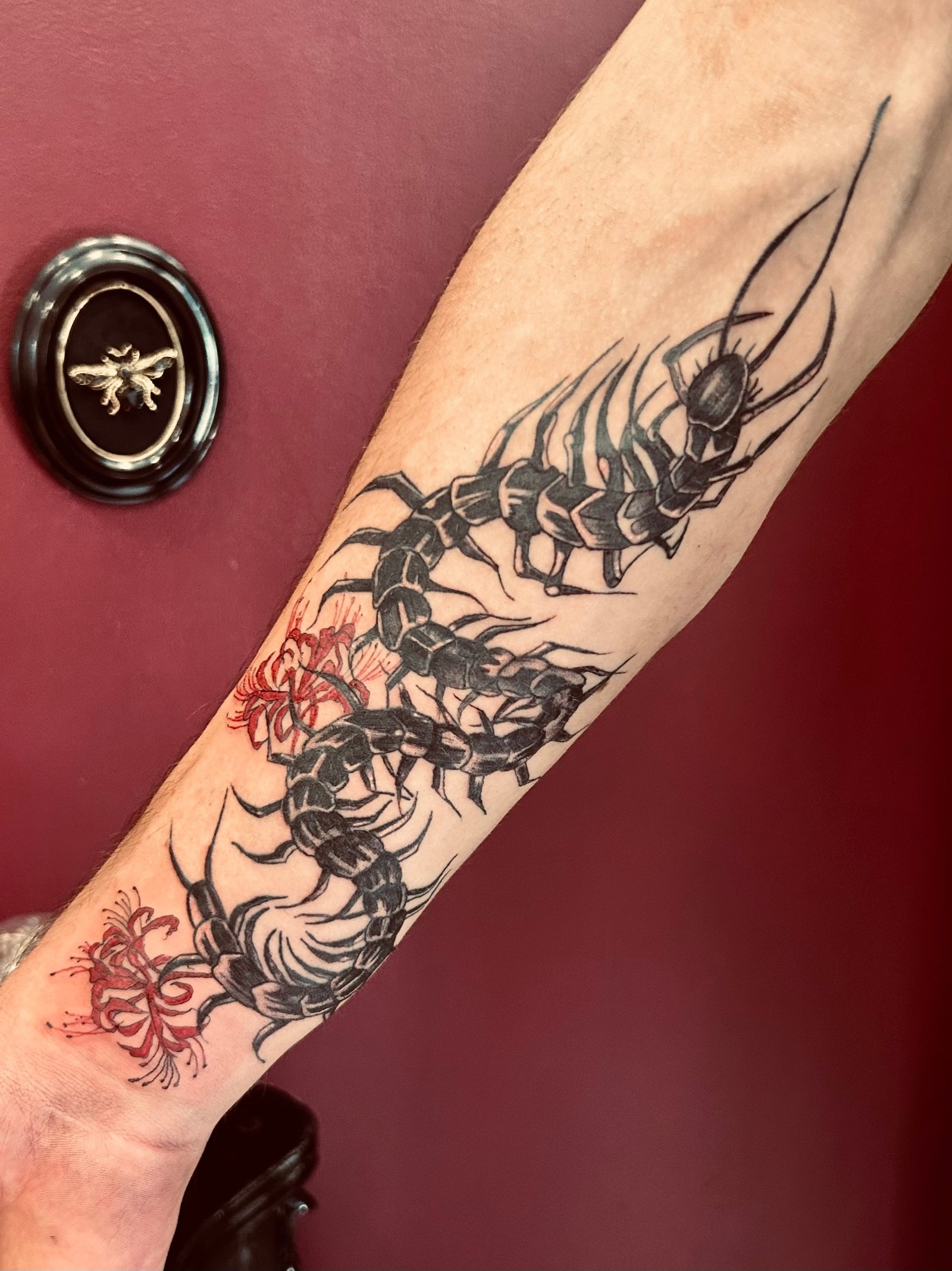 Tatouage L'Encre du Lyon